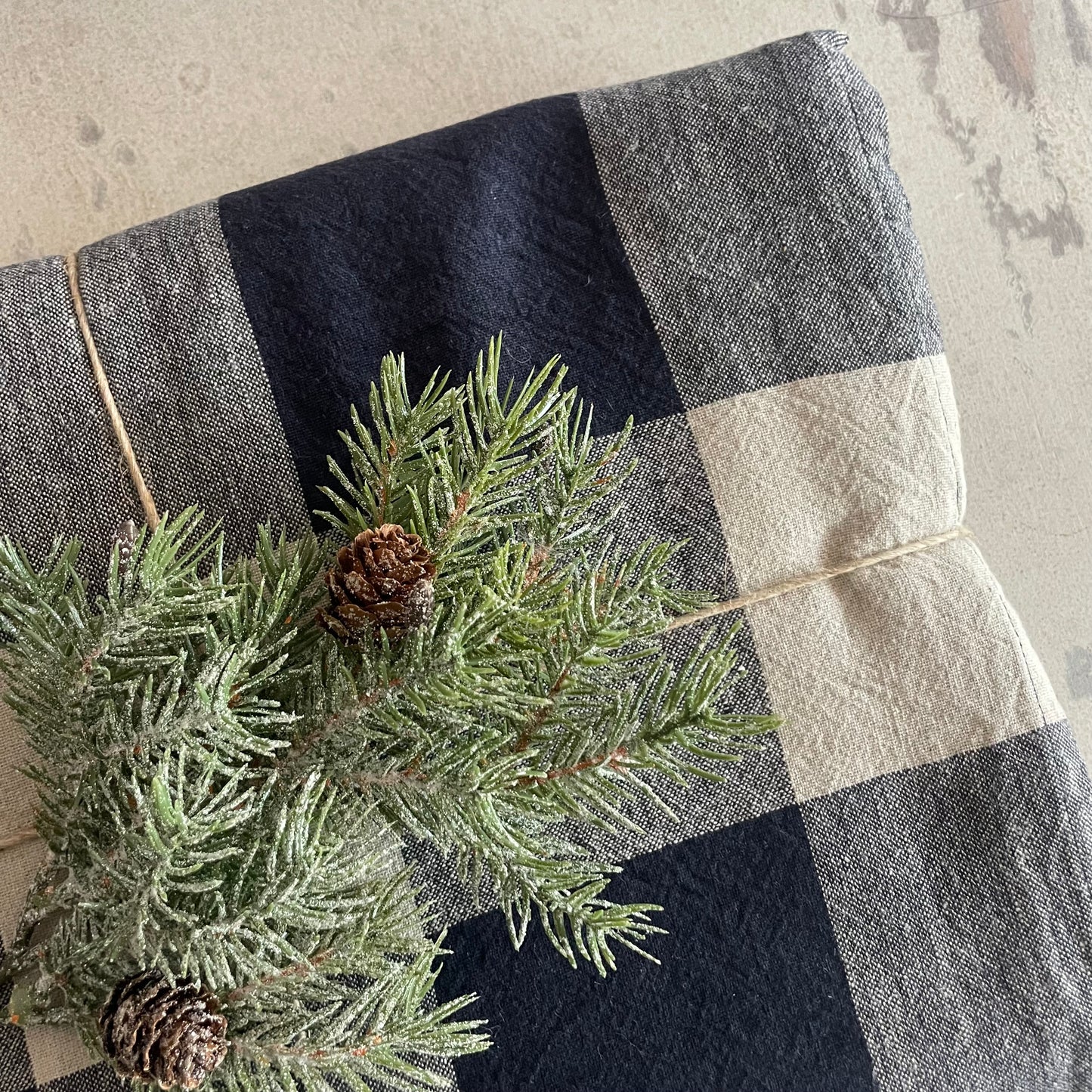 Tovaglia PALMA check blu
