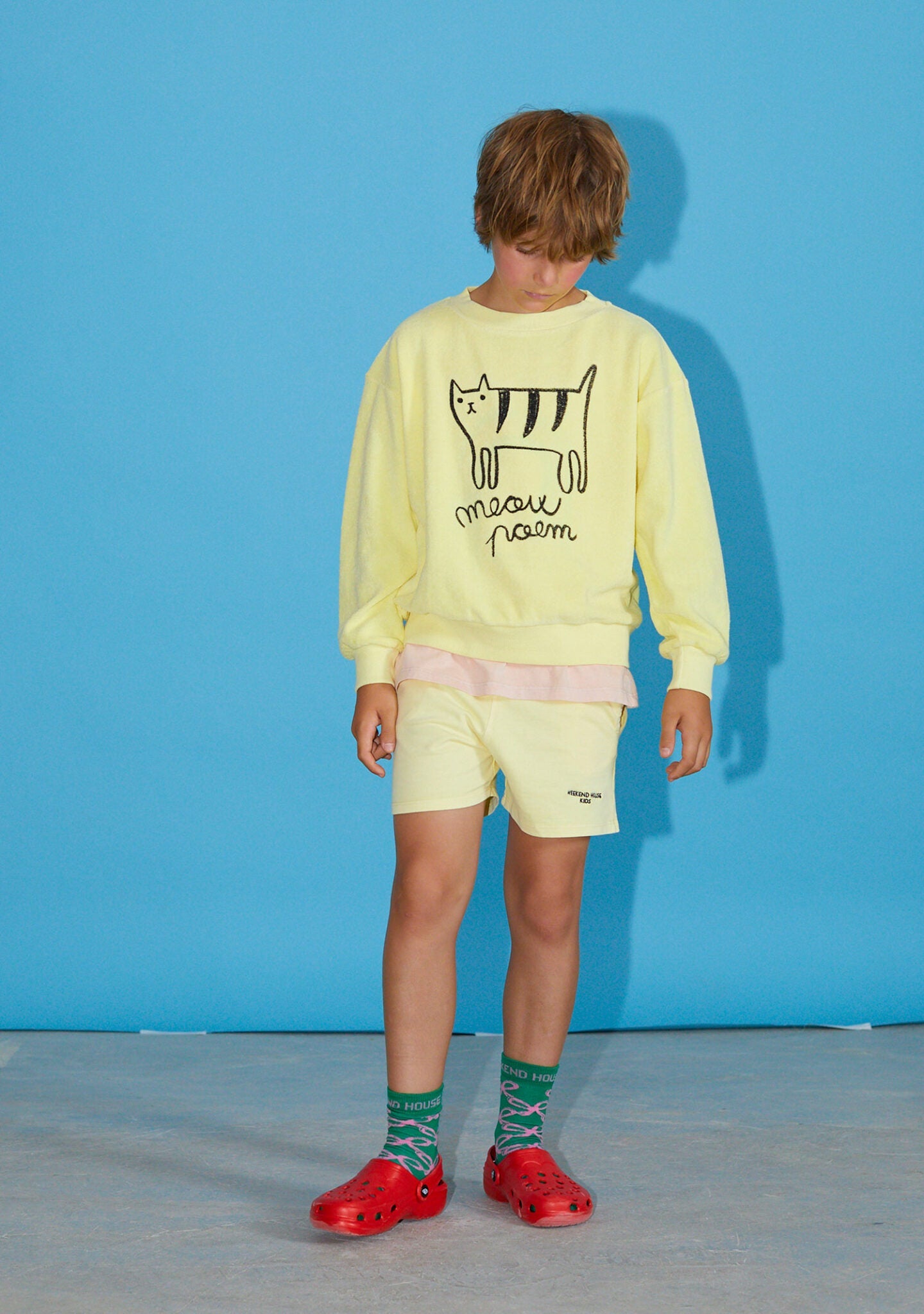 Short gatto