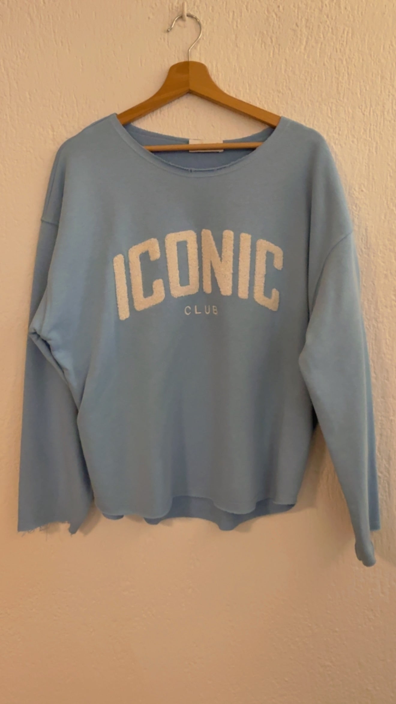 Felpa Iconic azzurro