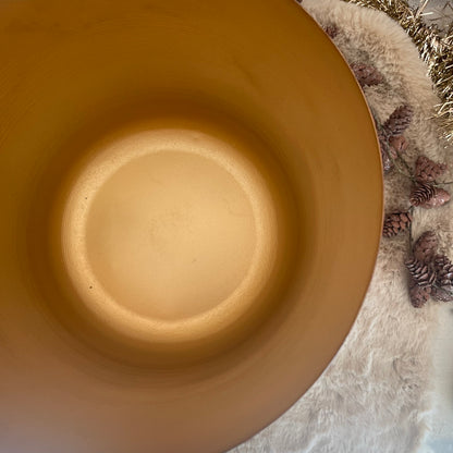Vaso porta piante paprika