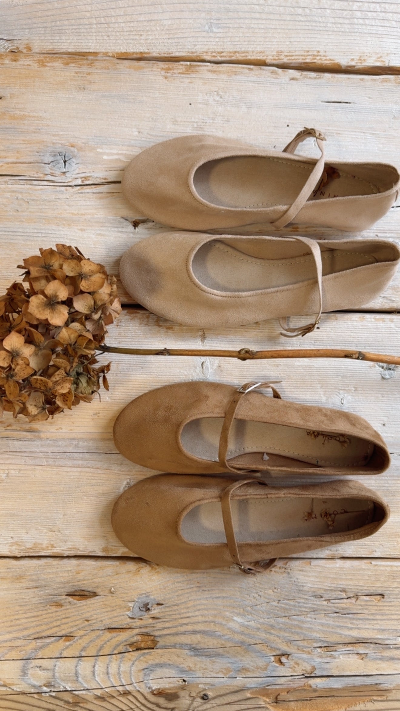 Ballerina Jacqueline caramel light