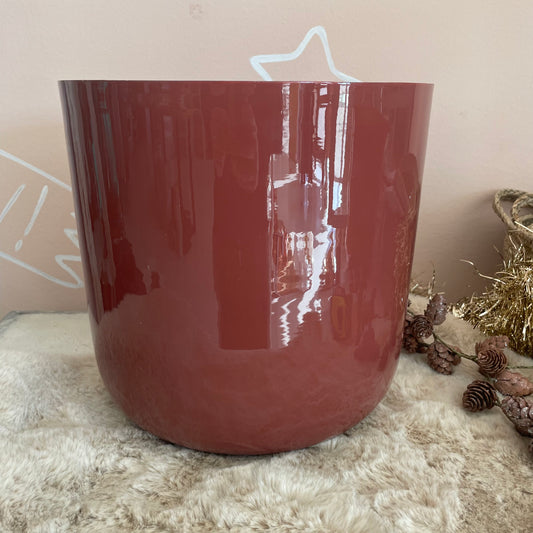 Vaso porta piante paprika