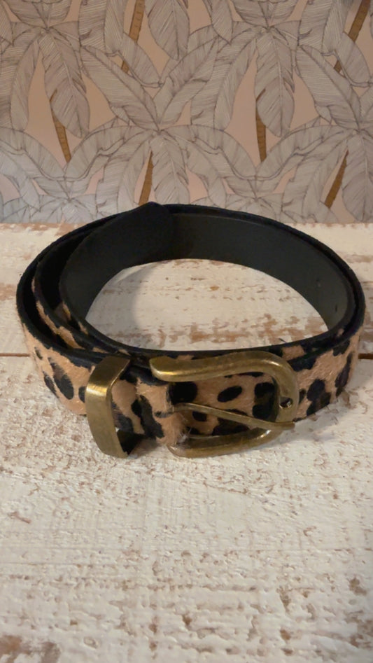 Cintura Leopard