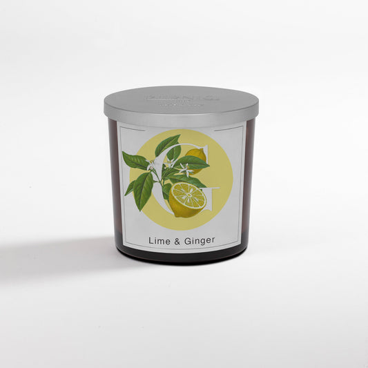 Candela Lime & Ginger