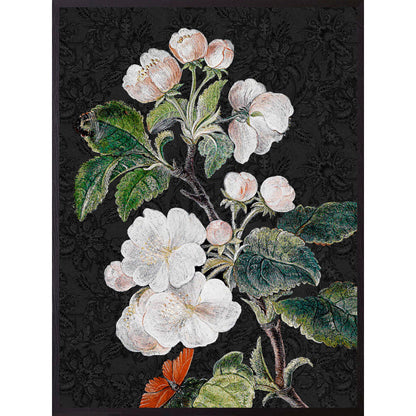 Quadro decorativo 20x25 Black Appleblossom