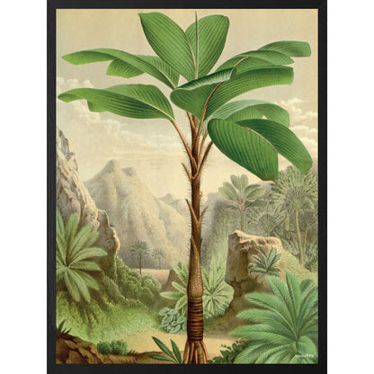 Quadro decorativo 30x40 Jungle