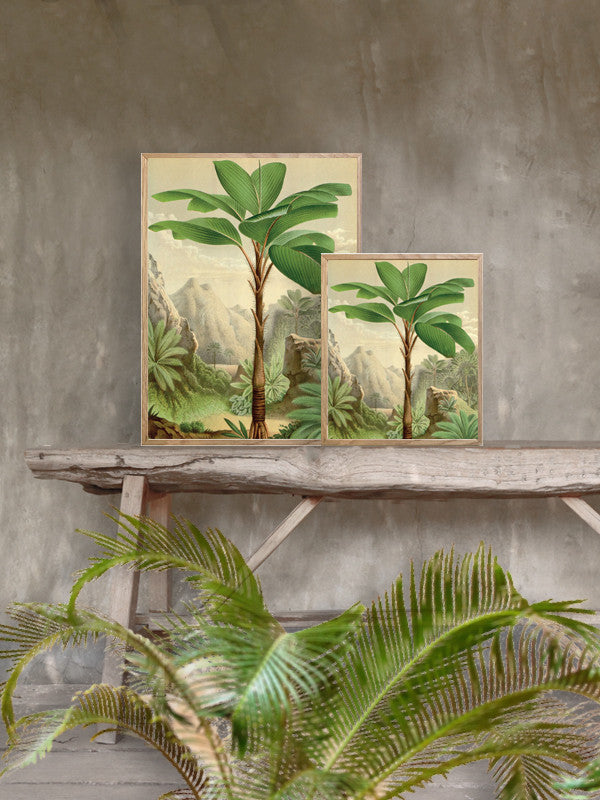 Quadro decorativo 30x40 Jungle